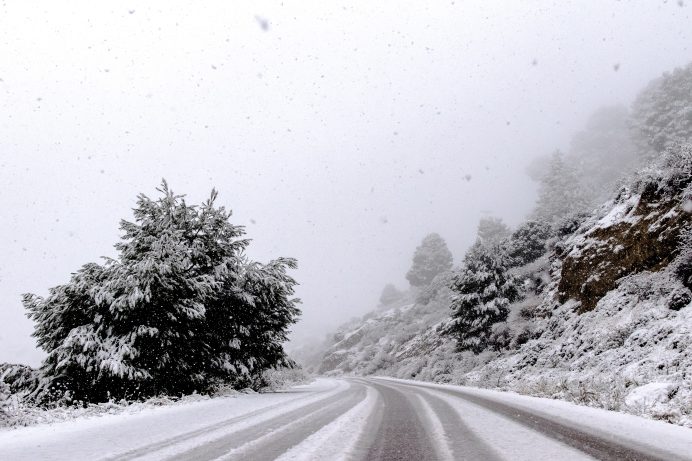 snowy road during winter